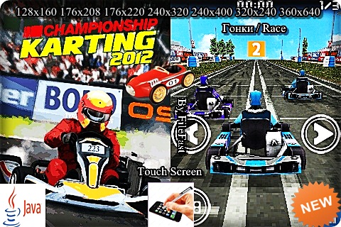 Championship Karting 2012 3D / Чемпионат по картингу 2012 3D-скачать бесплатно и без регистрации для смартфона, тачфона, телефона